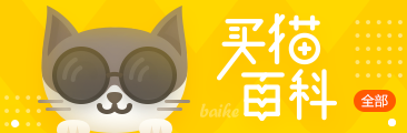 猫猫动态